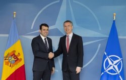 Премьер Молдавии предлагает НАТО открыть представительство в Кишиневе