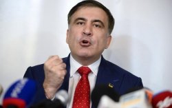 Саакашвили выдвинули на пост премьера Грузии