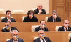 Грузинская парламентская делегация отправится в Киев без депутатов от «Национального движения»