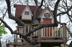 Домик на дереве «TreeHouse»