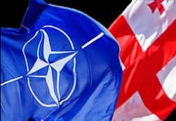 Грузия имеет все для подготовки вступления в НАТО – зам генсека альянса