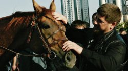 Лошадь Кадырова взяла приз на скачках в Дубае