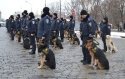 Милиция Украины переходит в режим "превентивного удара"