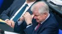 Глава МВД Германии намерен подать в отставку – СМИ